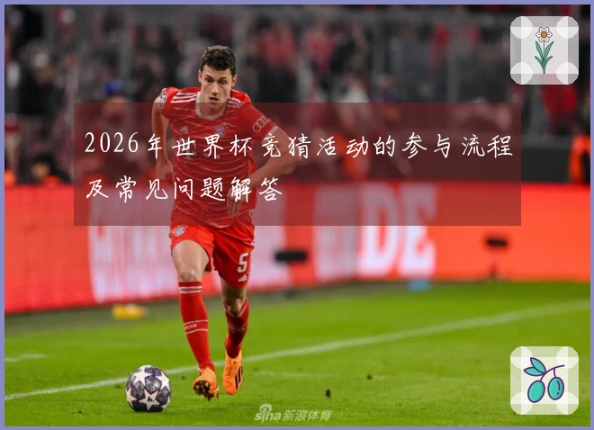 2026年世界杯竞猜活动的参与流程及常见问题解答