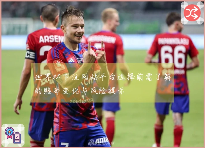 世界杯下注网站平台选择前需了解的赔率变化与风险提示