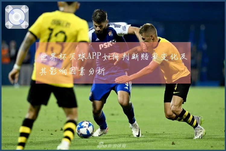 世界杯买球APP如何判断赔率变化及其影响因素分析
