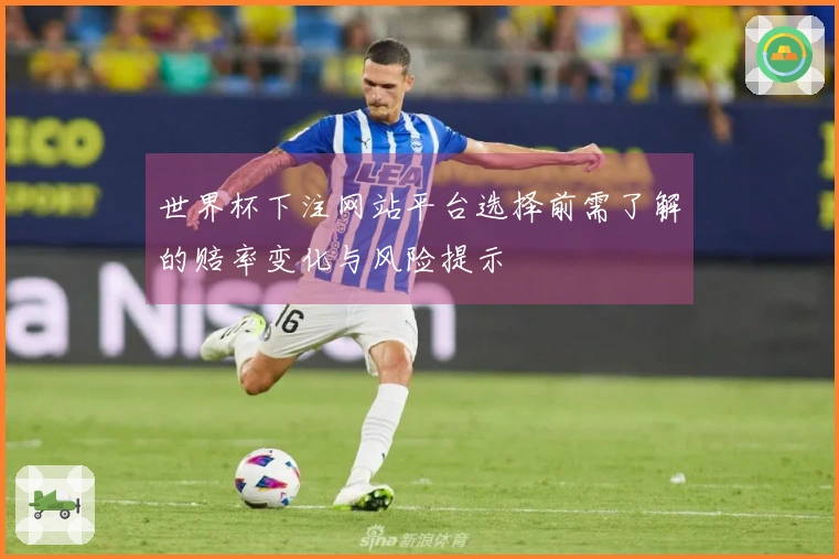 世界杯下注网站平台选择前需了解的赔率变化与风险提示