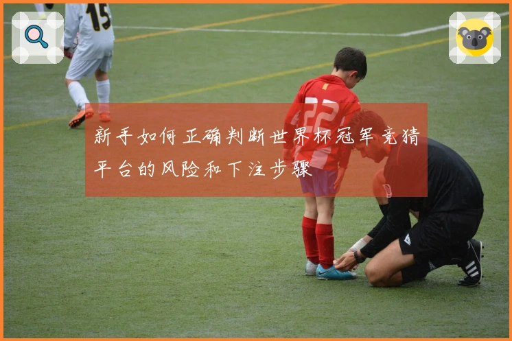新手如何正确判断世界杯冠军竞猜平台的风险和下注步骤