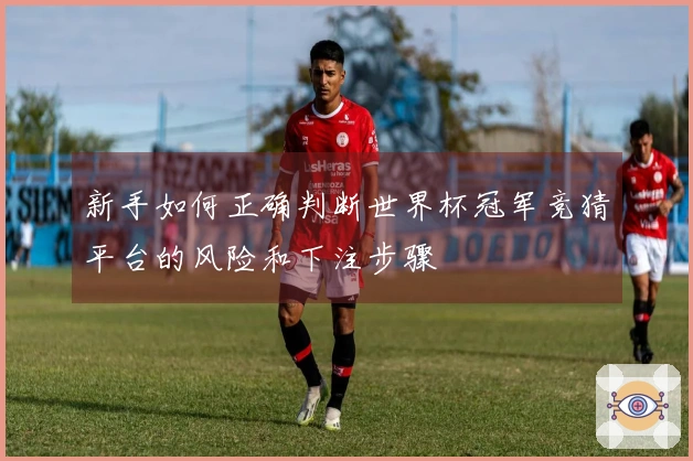 新手如何正确判断世界杯冠军竞猜平台的风险和下注步骤