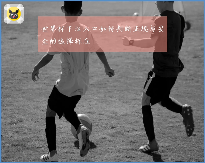 世界杯下注入口如何判断正规与安全的选择标准
